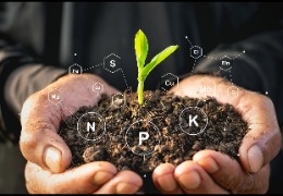 食品原料小百科：植物中能用PQQ嗎？