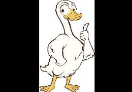 食品原料小百科：PQQ在動物領(lǐng)域的應(yīng)用？