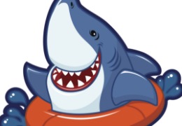 食品原料小百科：硫酸軟骨素可以用在什么地方？