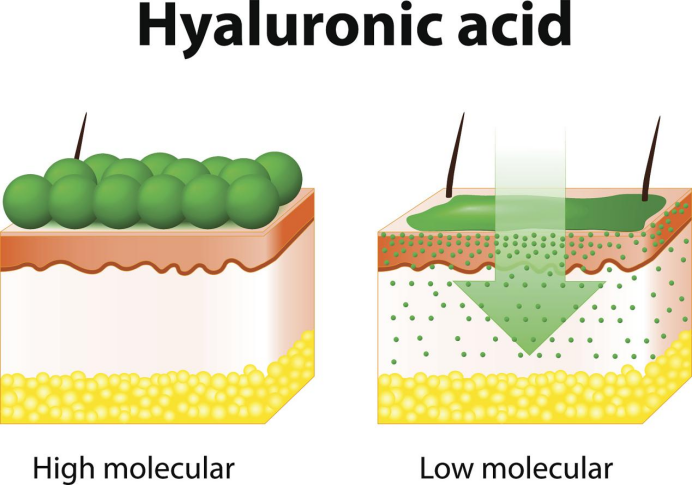 透明質(zhì)酸隱藏的特殊性能