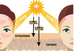 化妝品原料小百科：NAG與煙酰胺復(fù)配使用能改善色斑嗎？