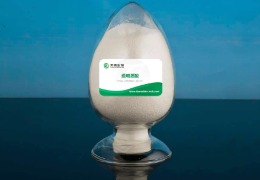 什么是透明質(zhì)酸？