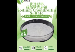 軟骨救星，硫酸軟骨素鈉讓你告別關(guān)節(jié)疼痛！