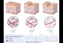 水潤皮膚的秘密武器，乙酰殼糖胺和透明質(zhì)酸的甜蜜聯(lián)盟！