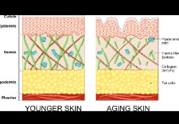 正確選擇精華素，讓你的肌膚更緊致、更年輕