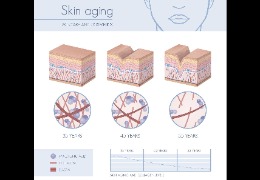 護膚品保濕成分的黃金標準——透明質(zhì)酸鈉
