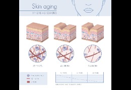 羥丙基三甲基氯化銨：透明質(zhì)酸鉀的功效及用途  乙?；该髻|(zhì)酸鈉