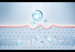 護(hù)膚品滲透和吸收是一回事嗎？