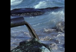 核輻射風(fēng)波，日妝還能用嗎？